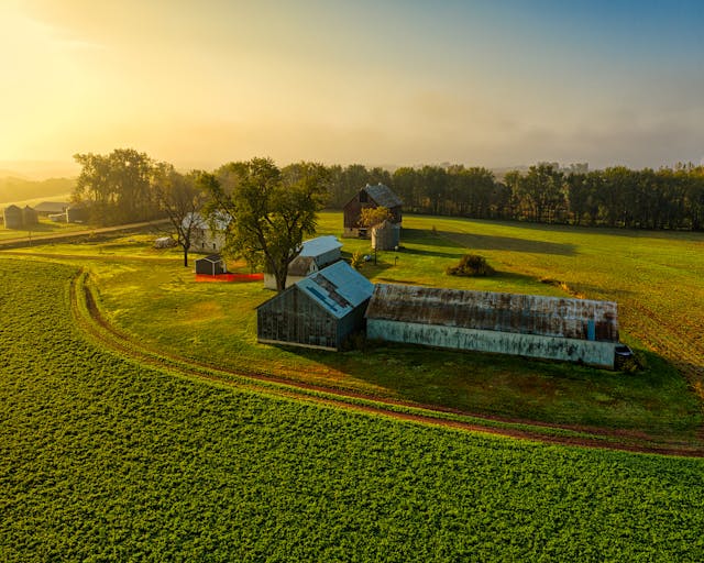Farms & Mushroom Growers